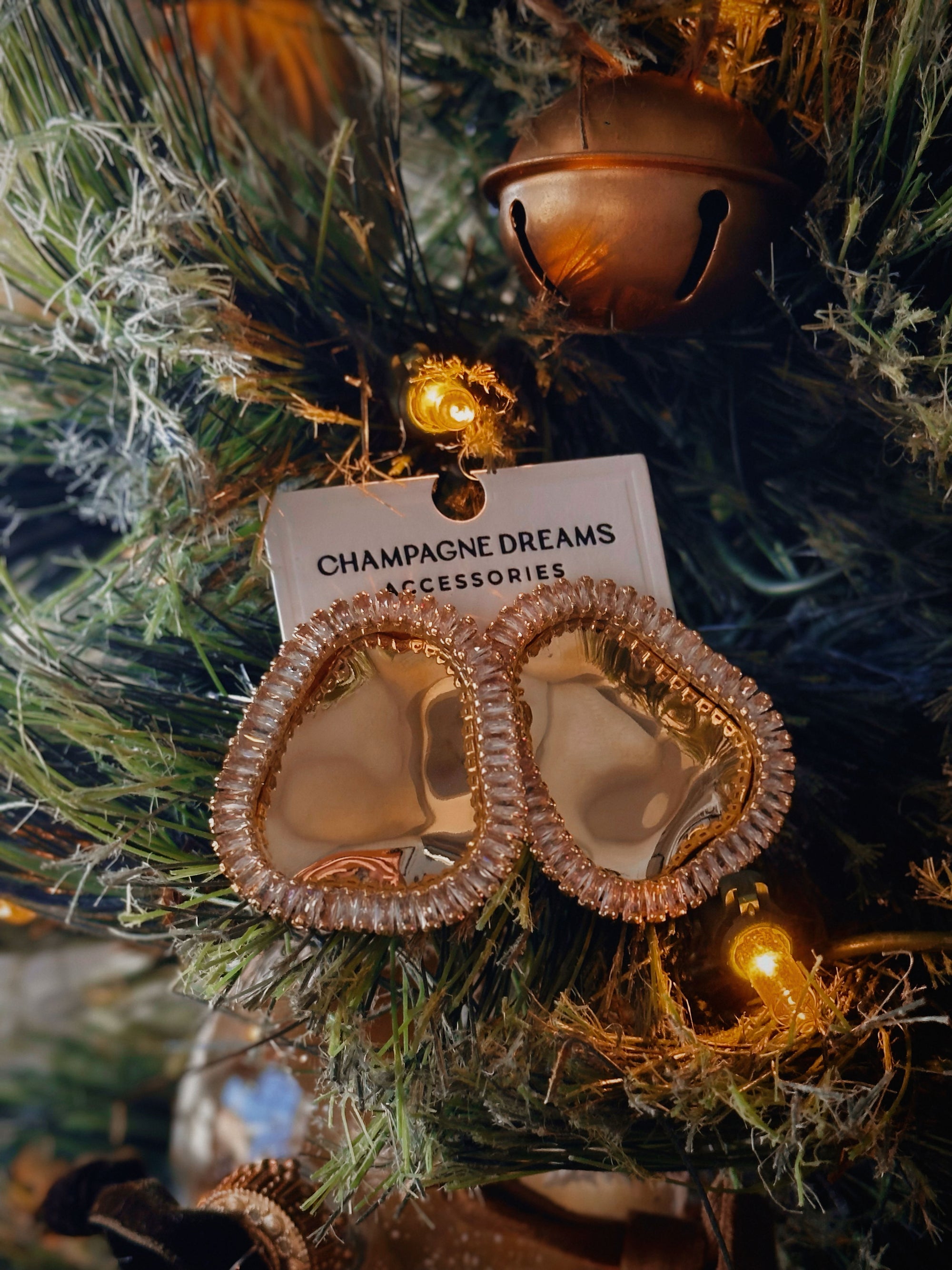 The Halo Pour Earrnings